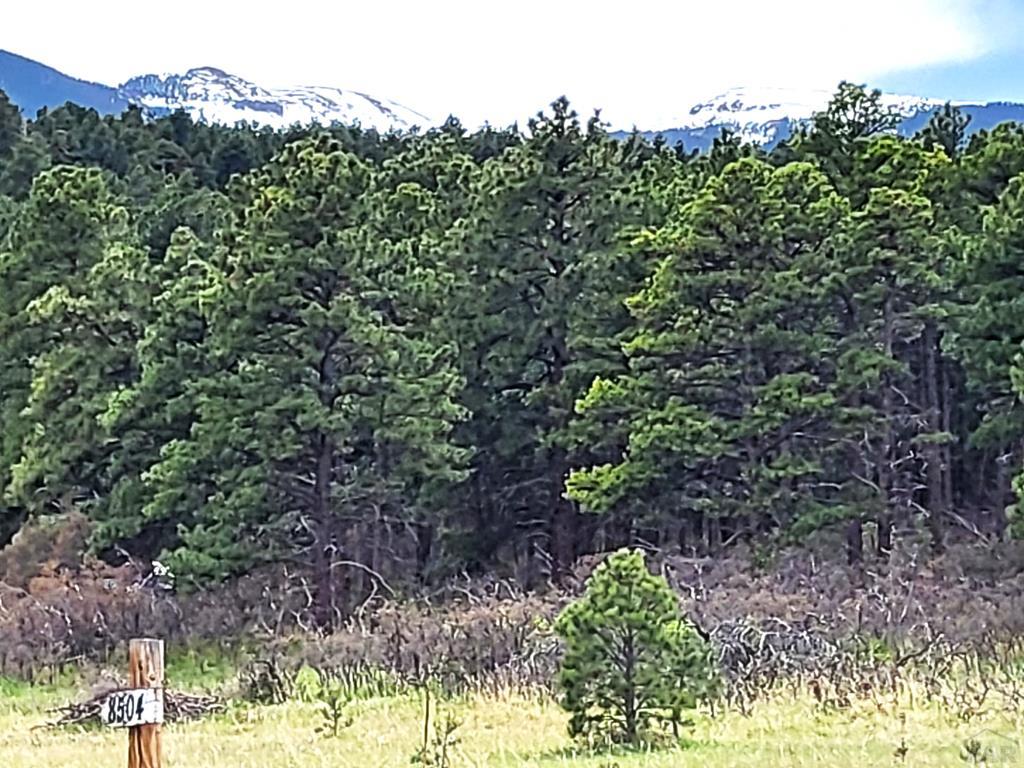 165 West Rye Co 81069 Rye, CO 81069 - Photo 5 of 38