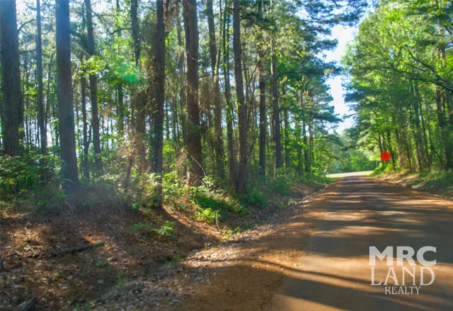 a view of street next to trees