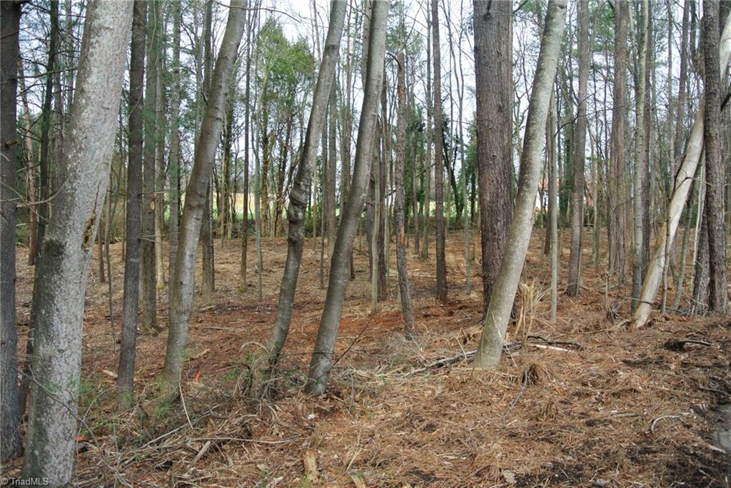 6 Binkley Farm Road Clemmons, NC 27012 - Photo 6 of 7