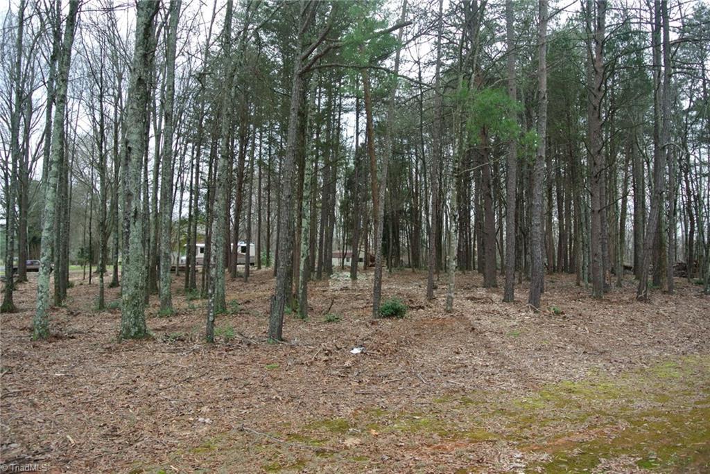 6 Binkley Farm Road Clemmons, NC 27012 - Photo 7 of 7