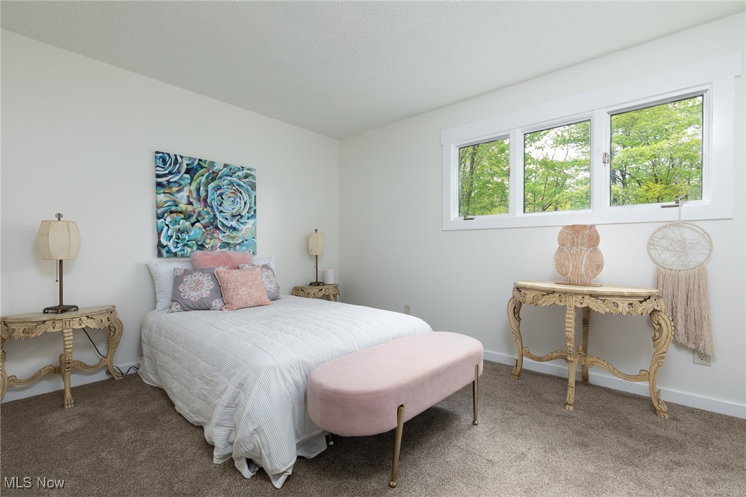 17130 Abbey Road Chagrin Falls, OH 44023 - Photo 23 of 41 BR 3