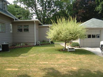 614 Washington Street Three Rivers, MI 49093 - Photo 4 of 19 Additional Photo
