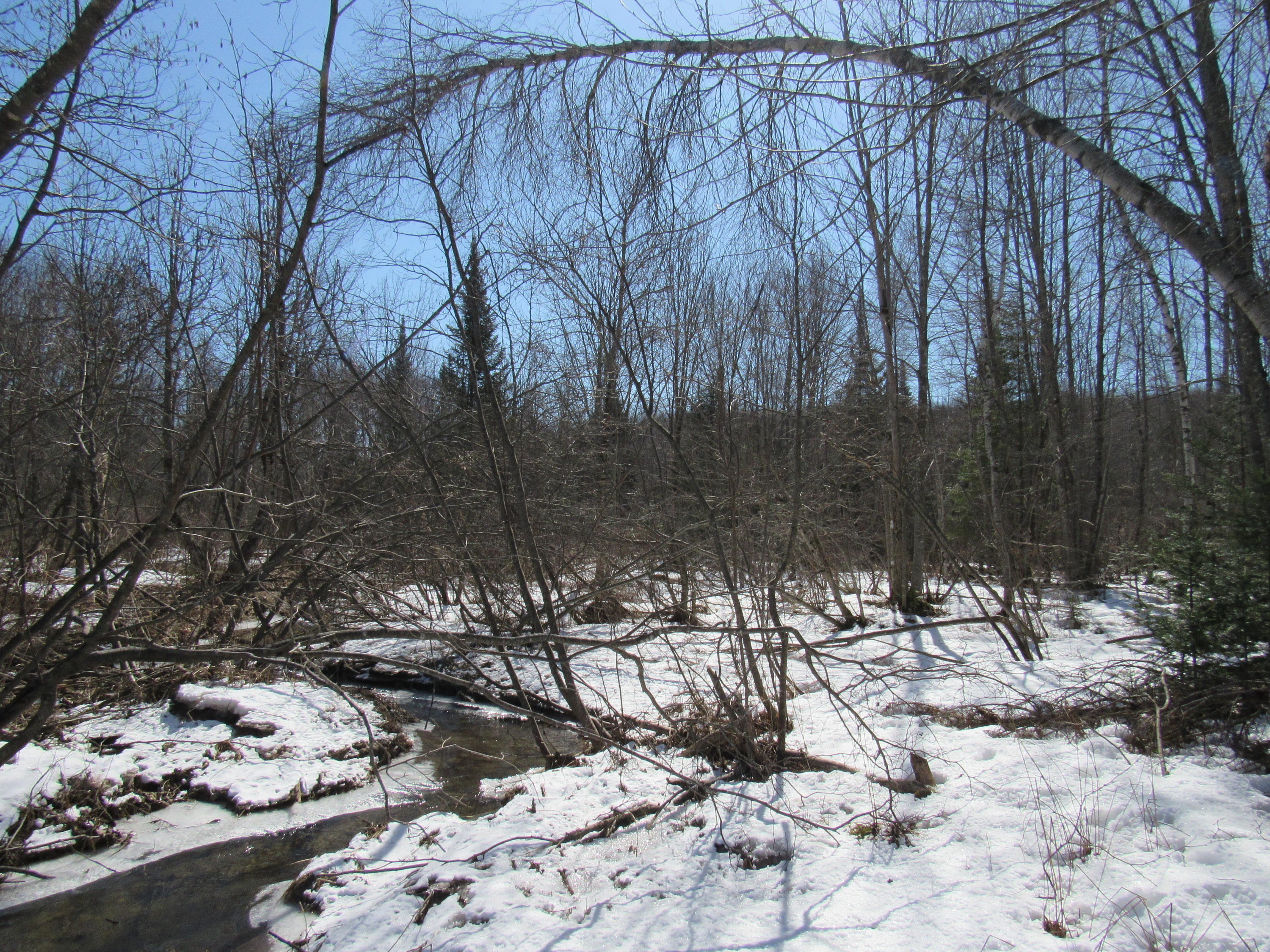 Lot 5 Kennebec Road Dixmont, ME 04932 - Photo 9 of 13 IMG_5269