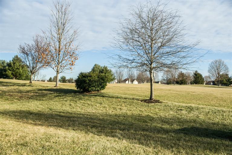 141 Mission Path Georgetown, KY 40324 - Photo 23 of 23 Photo 23