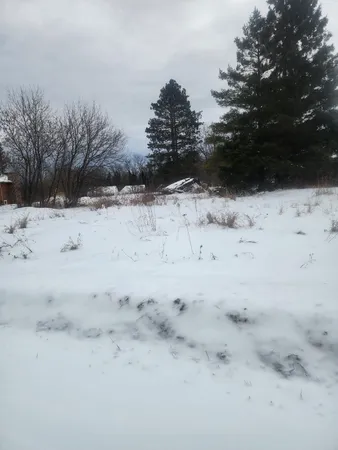 $12,000 | 12096 Ramsey Street, Northome, MN 56661