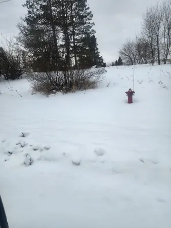 $12,000 | 12096 Ramsey Street, Northome, MN 56661