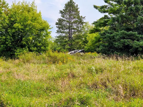 $12,000 | 12096 Ramsey Street, Northome, MN 56661