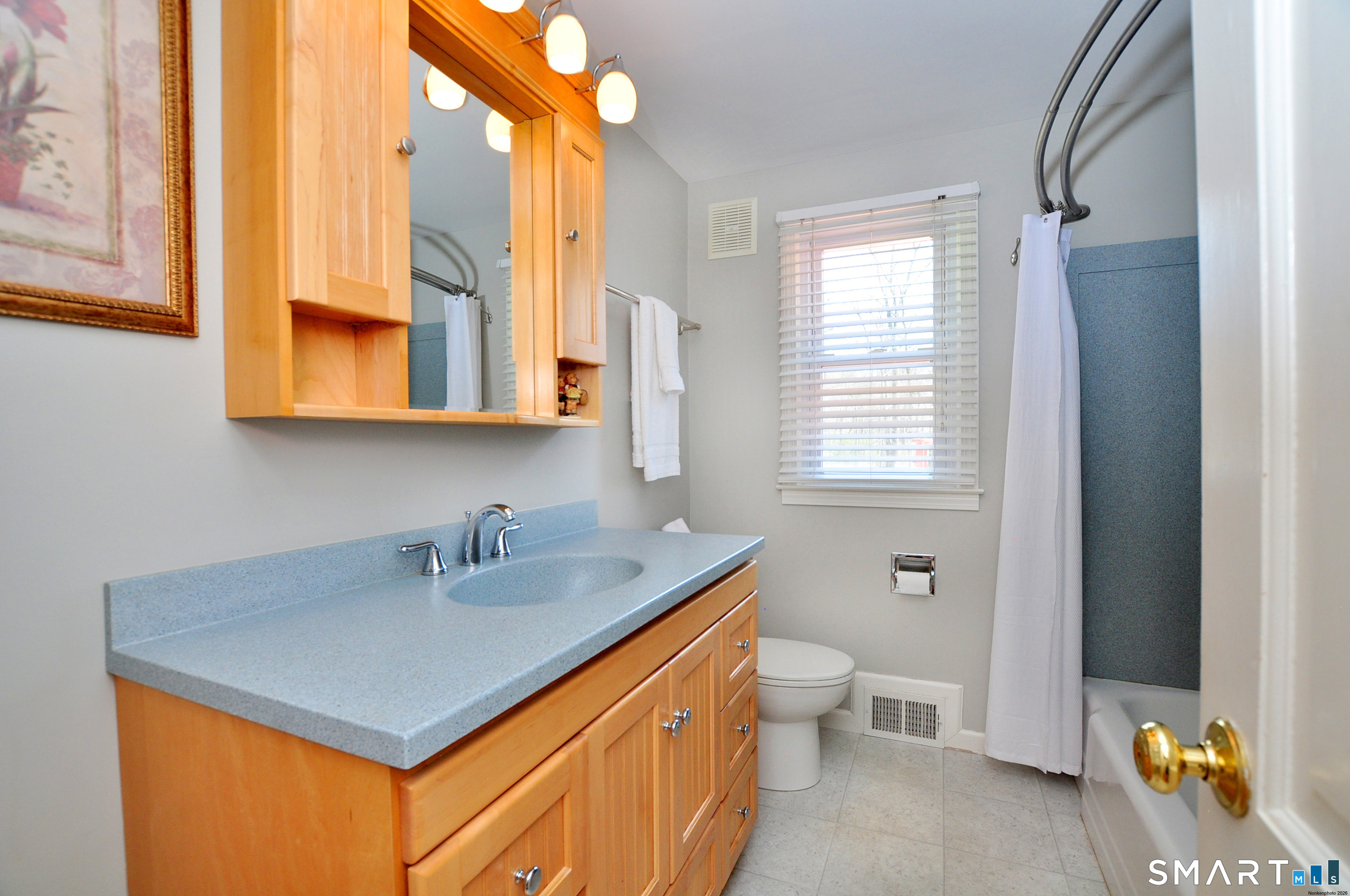36 Pilgrim Drive Windsor, CT 06095 - Photo 15 of 33 a bathroom with a sink and a toilet