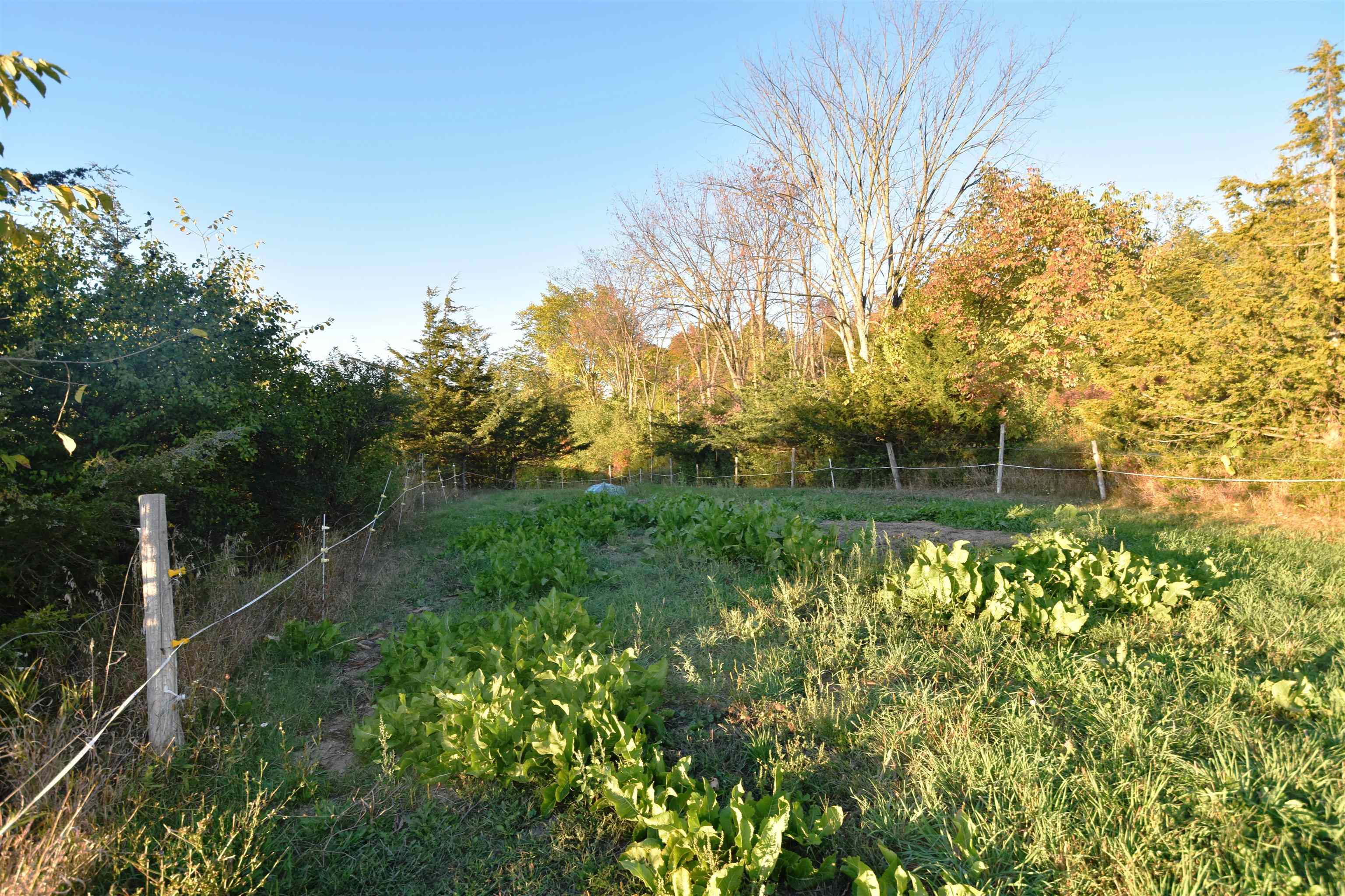 8682 Highway 22A Addison, VT 05491 - Photo 21 of 24