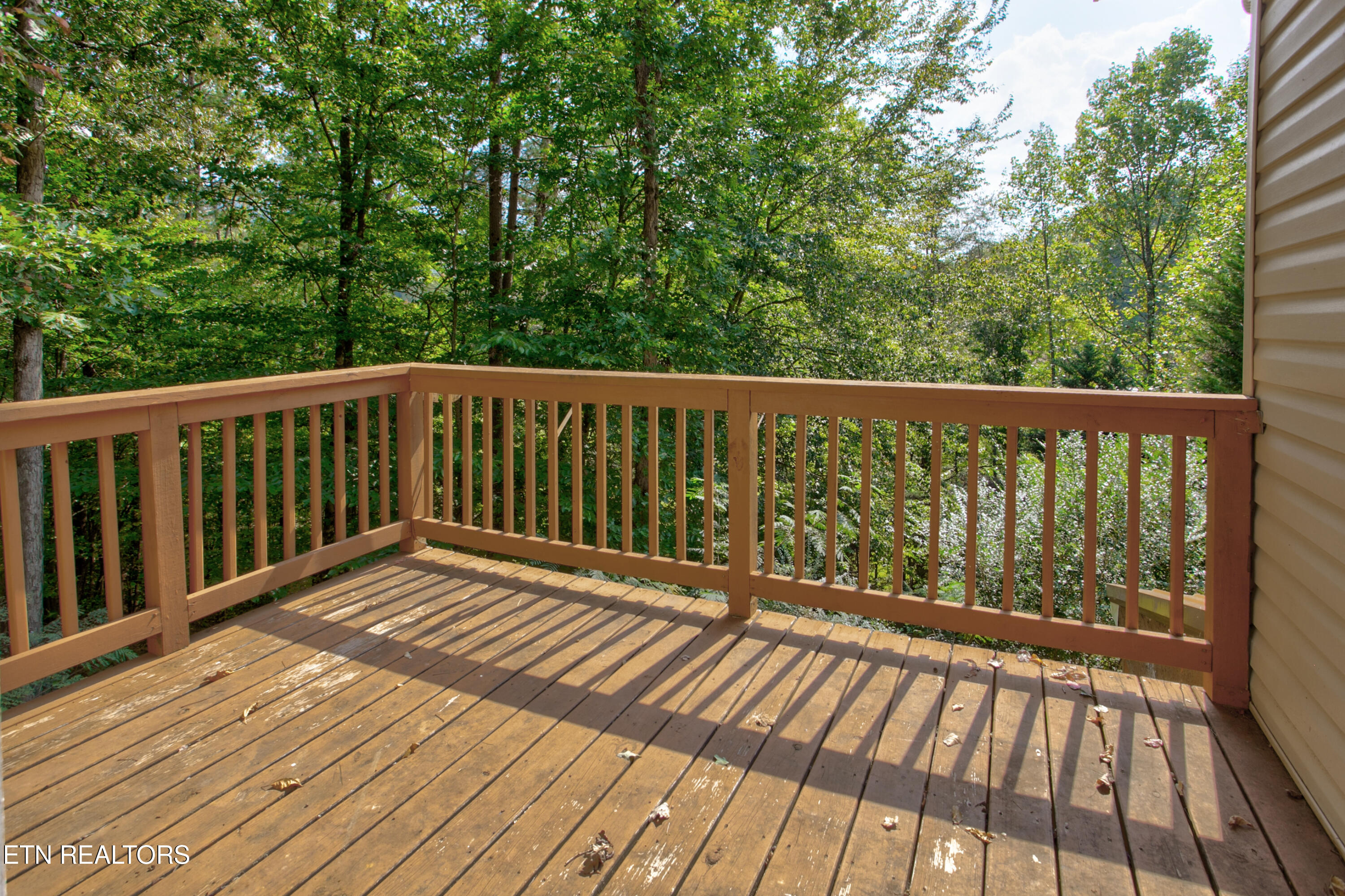 4017 Hatcher Hollow Road Walland, TN 37886 - Photo 31 of 60 4017 Hatcher Hollow032