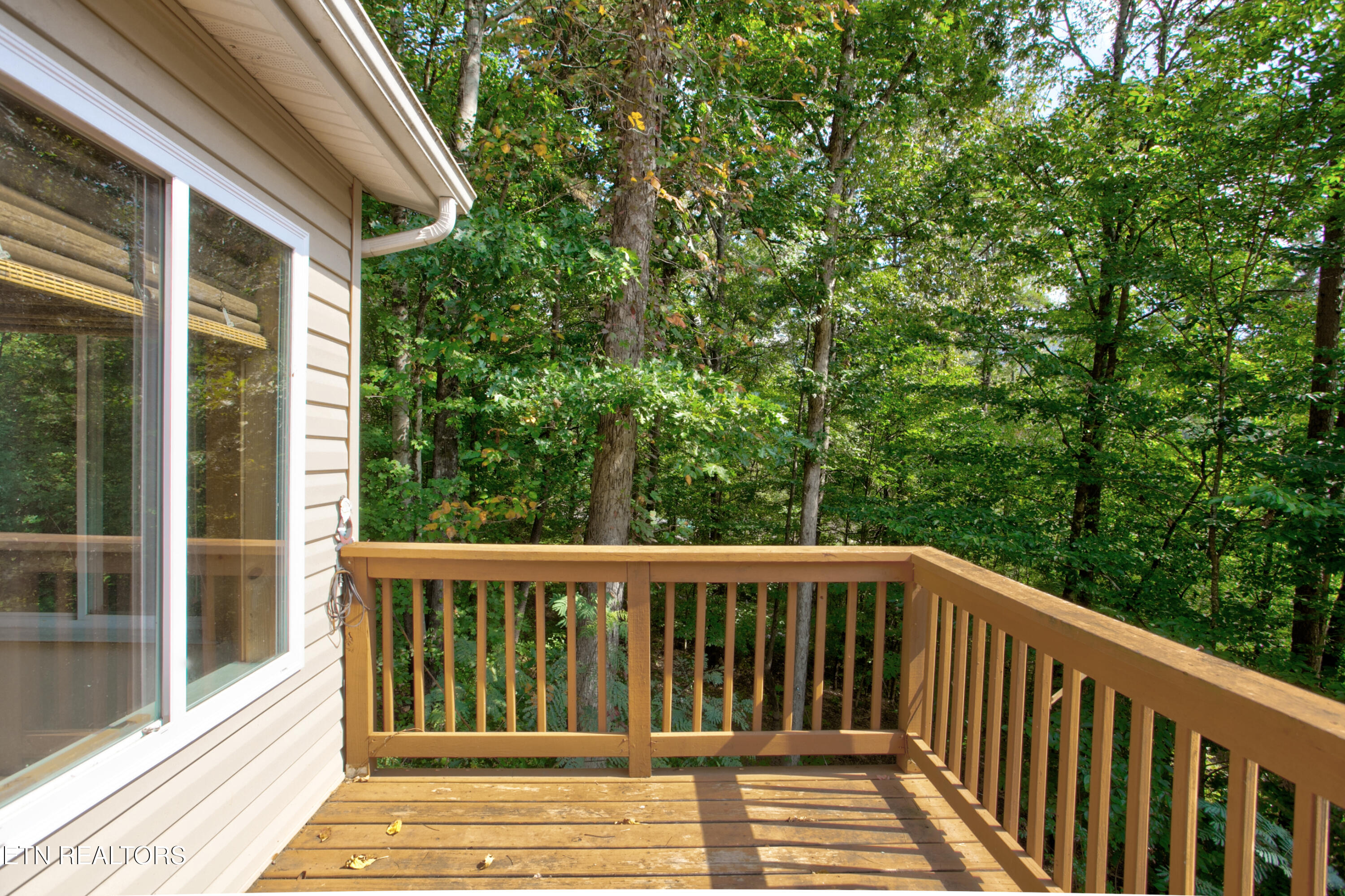 4017 Hatcher Hollow Road Walland, TN 37886 - Photo 32 of 60 4017 Hatcher Hollow033