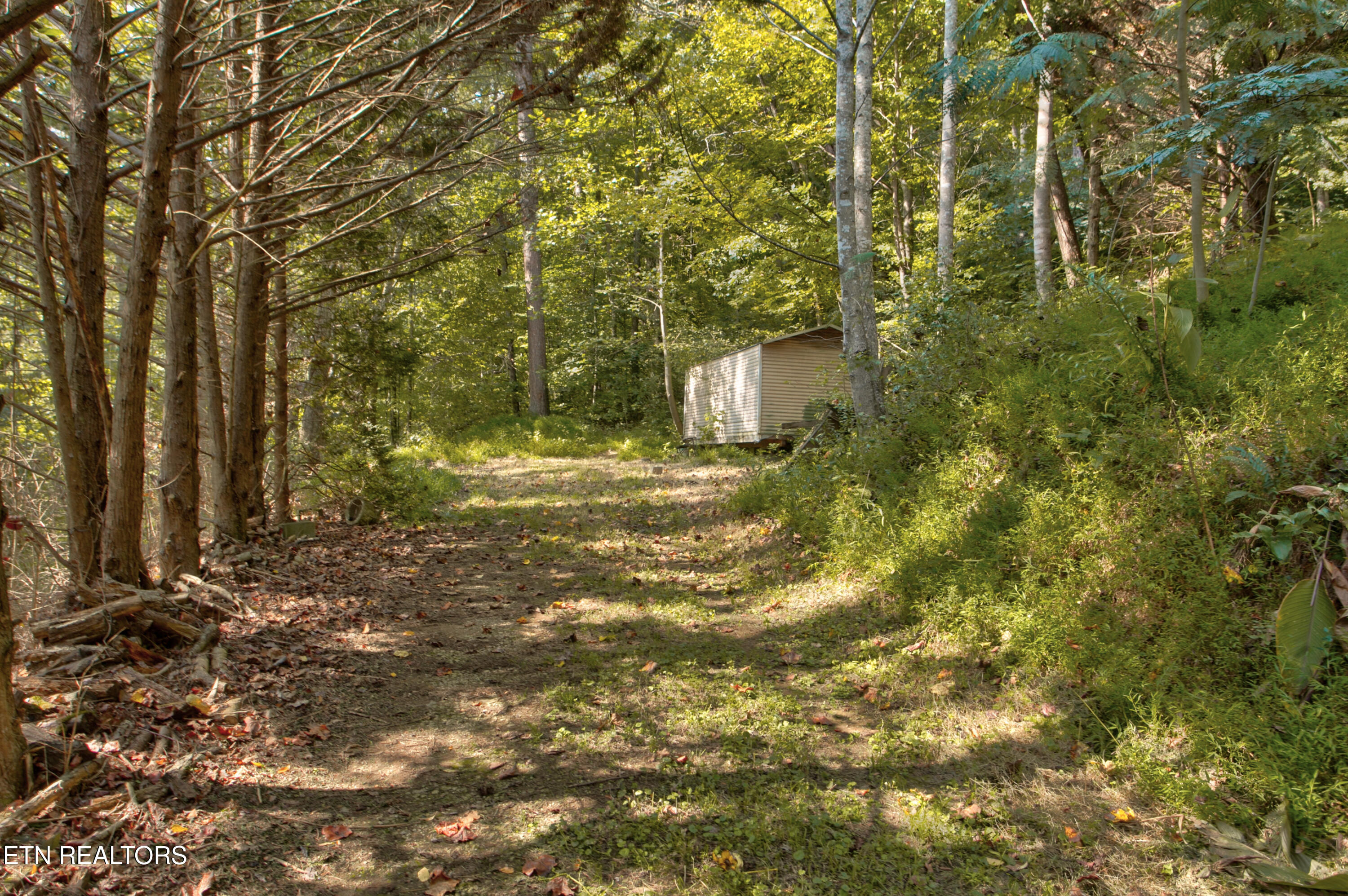 4017 Hatcher Hollow Road Walland, TN 37886 - Photo 44 of 60 4017 Hatcher Hollow044