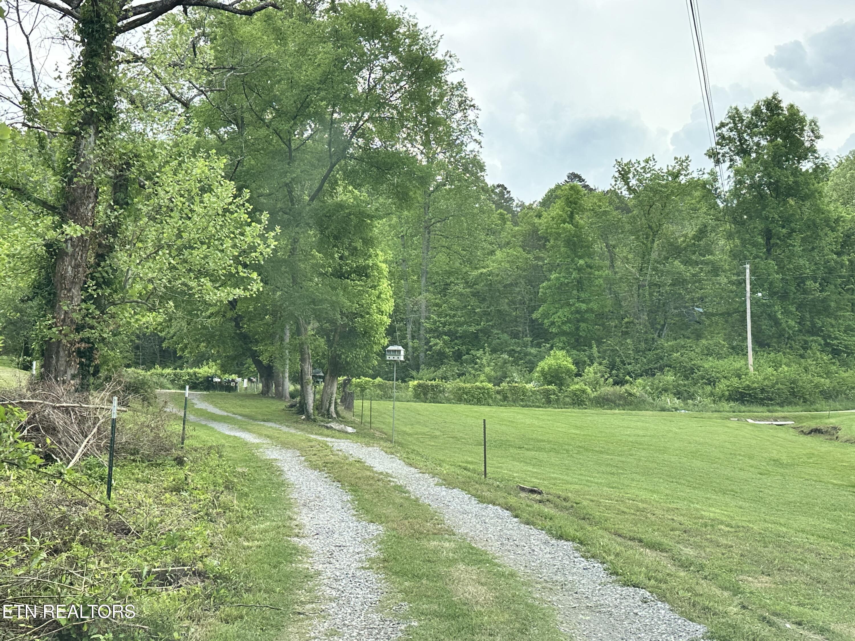 4017 Hatcher Hollow Road Walland, TN 37886 - Photo 53 of 60 IMG_2961