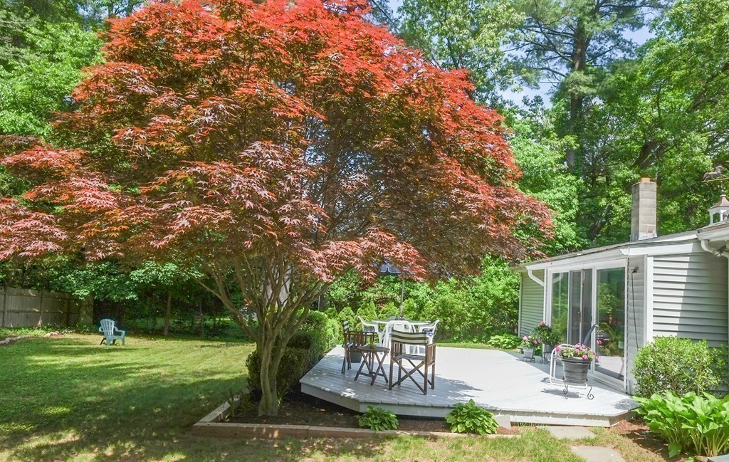 21 Davelin Road Wayland, MA 01778 - Photo 23 of 27 Gallery Image 23