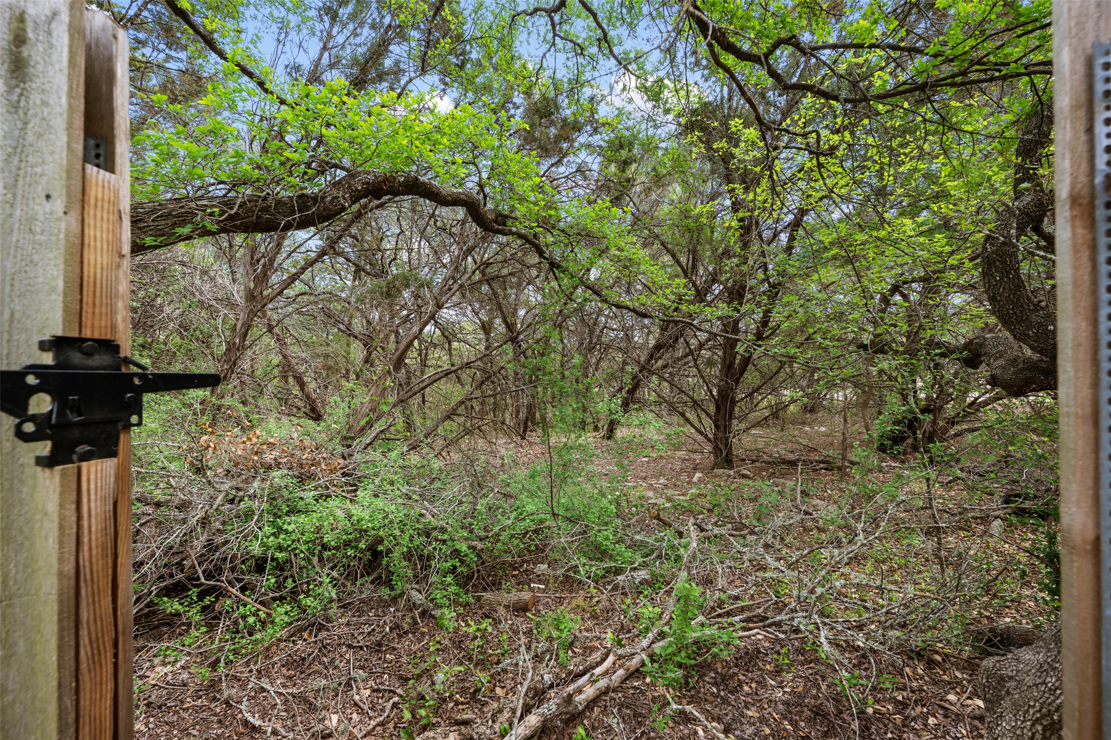 6825 Hansa Loop Austin, TX 78739 - Photo 37 of 37