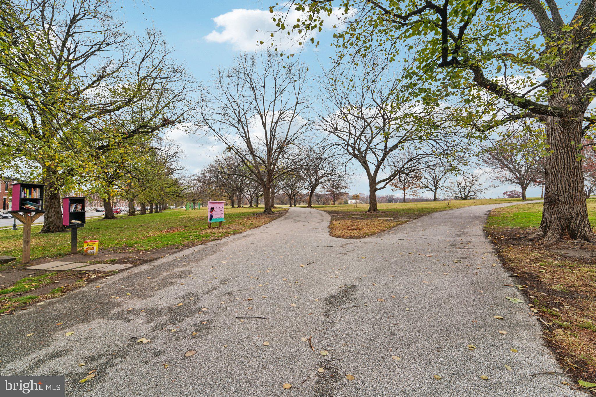 3929 Hudson Street Baltimore, MD 21224 - Photo 31 of 48 a view of road with tree