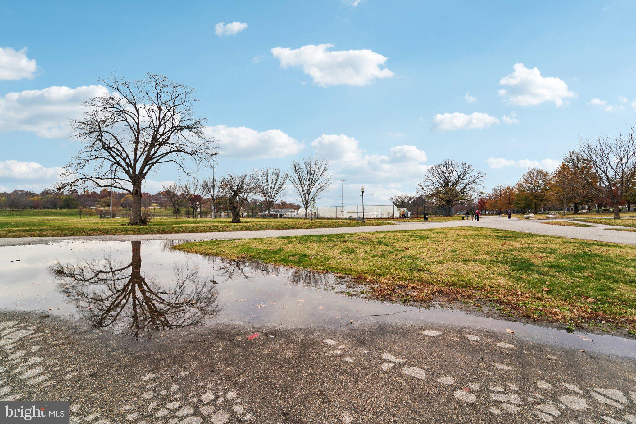 3929 Hudson Street Baltimore, MD 21224 - Photo 42 of 48 a view of a lake with a yard and trees