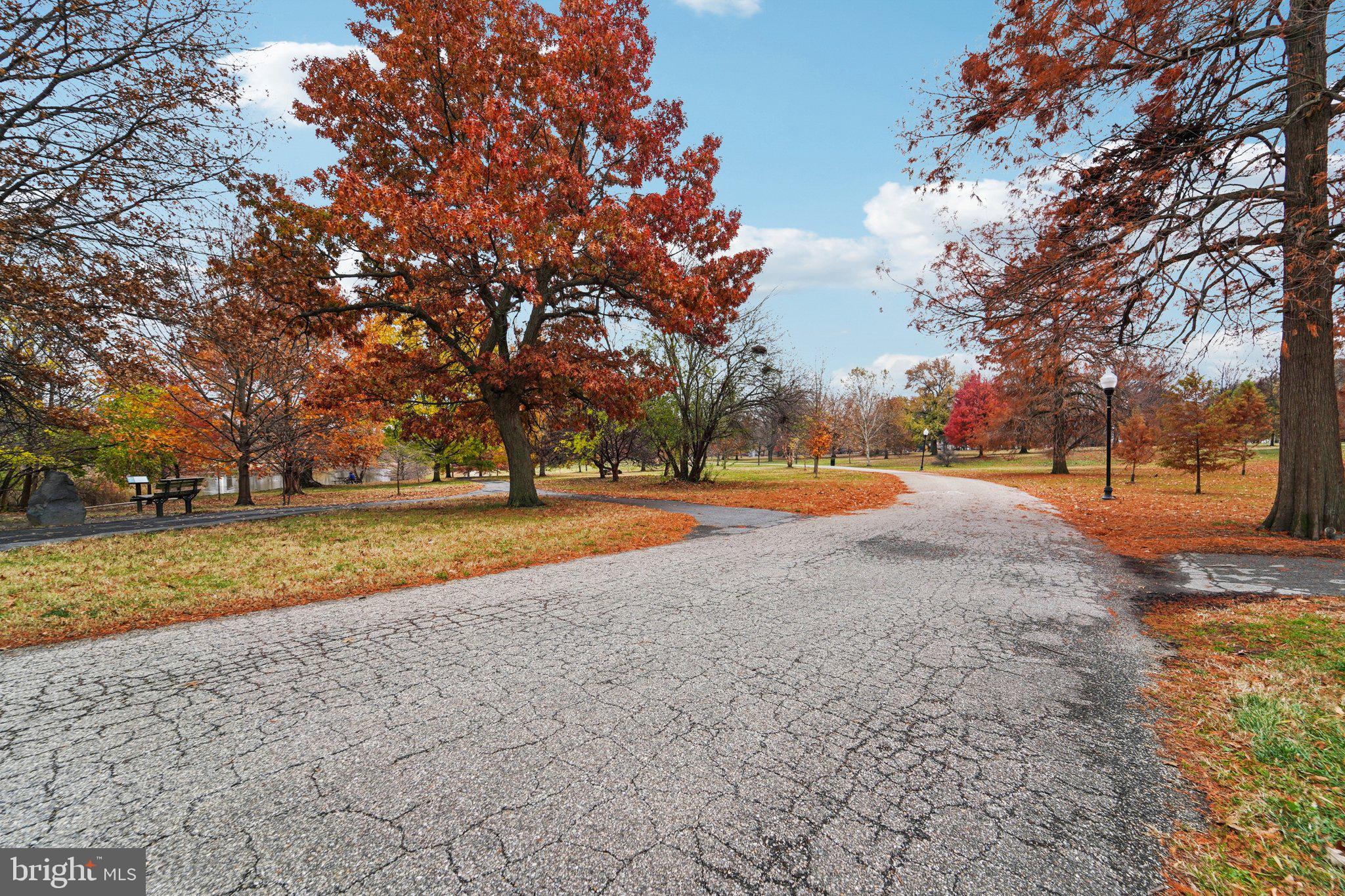 3929 Hudson Street Baltimore, MD 21224 - Photo 44 of 48 a view of dirt yard with large trees