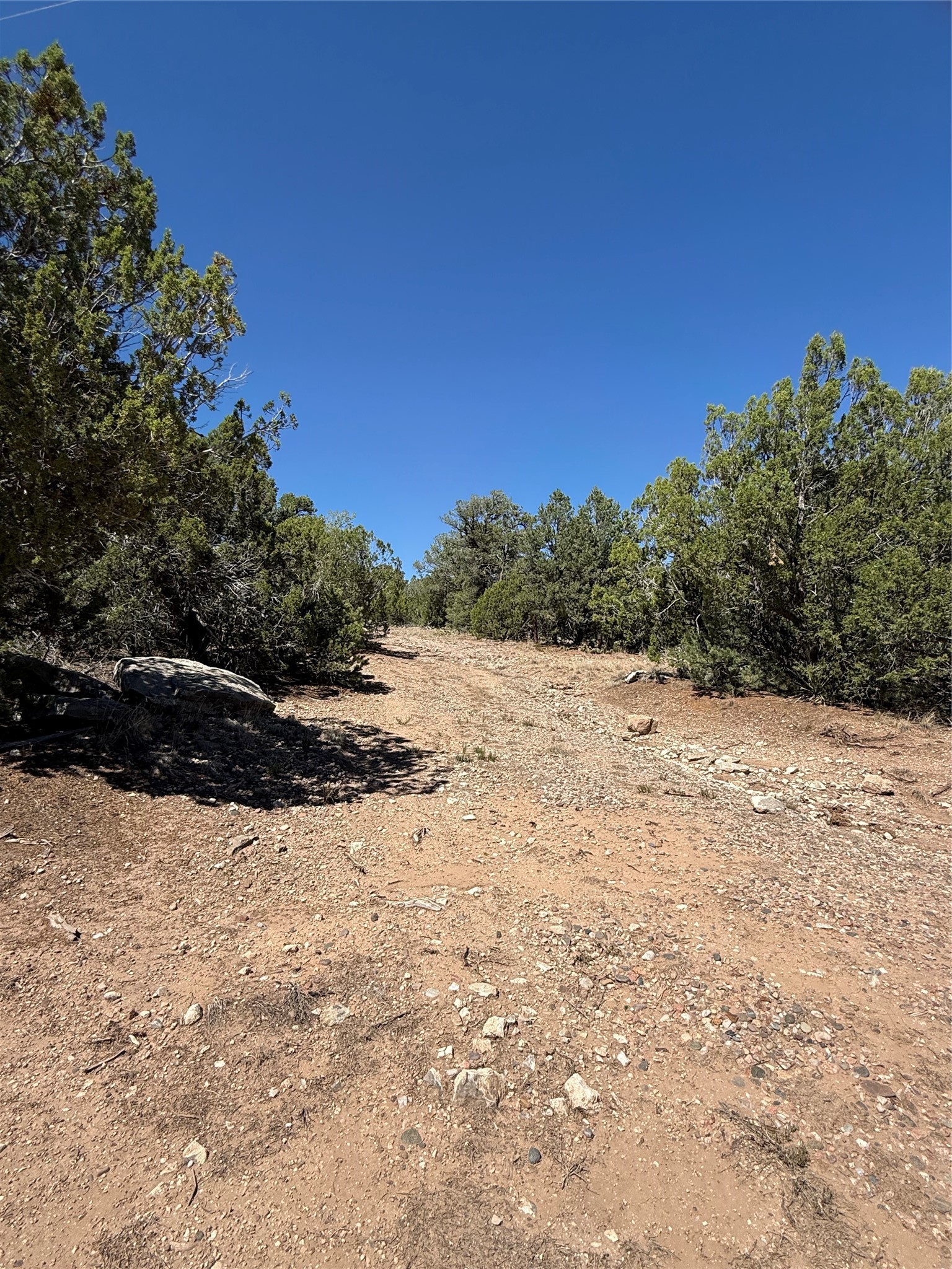 174 Hidden Valley Ranch Road Ilfeld, NM 87538 - Photo 15 of 30