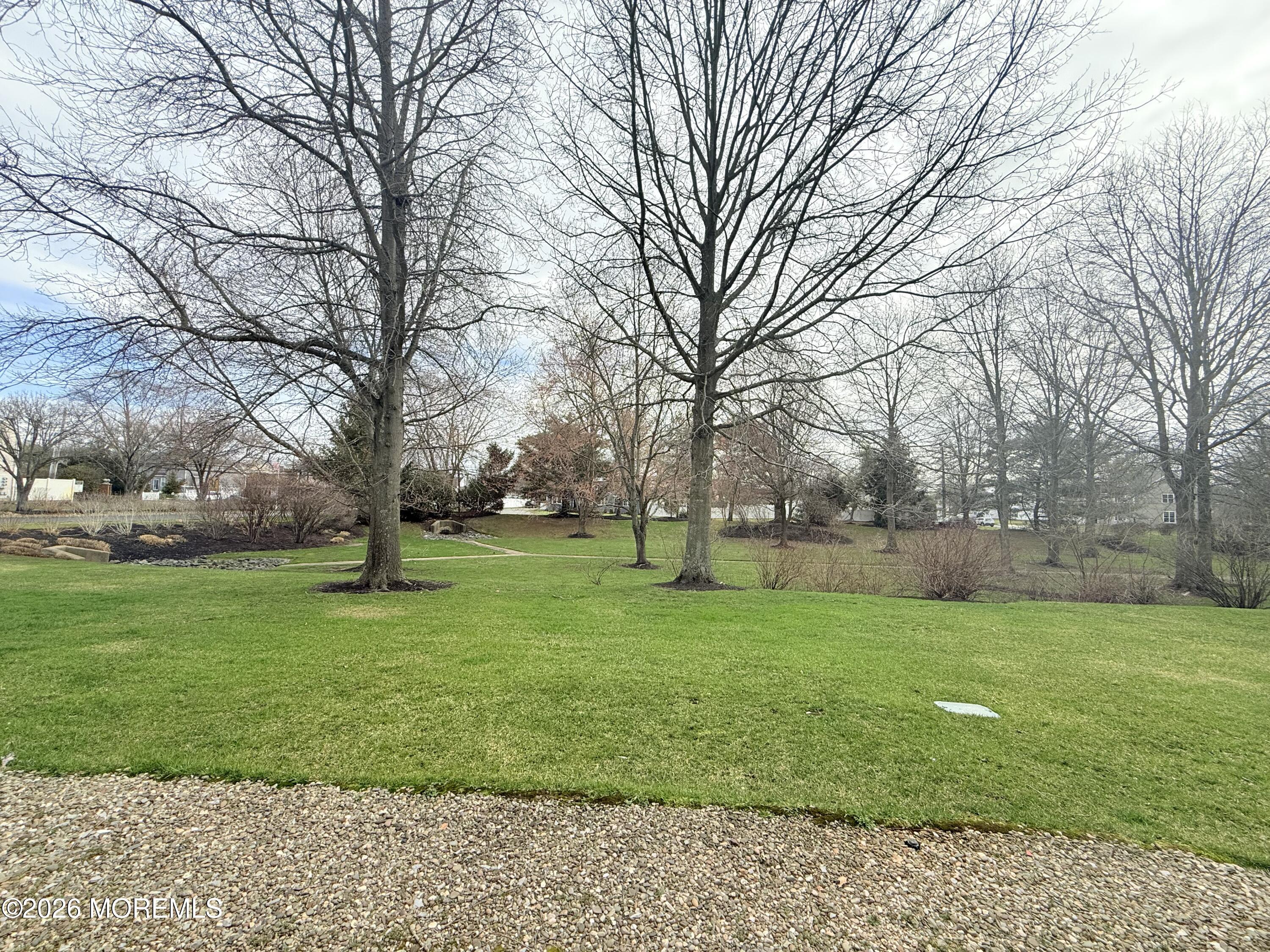 156 Setter Place Freehold, NJ 07728 - Photo 30 of 30 Back Yard View