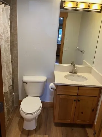 a bathroom with a sink and a toilet