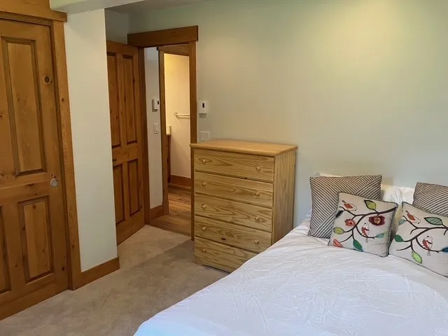 a bedroom with a bed and a closet