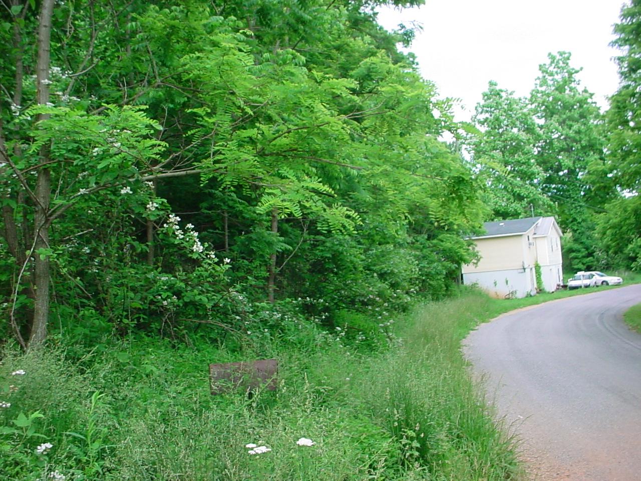 632 Harris Hollow Road Southwest Floyd, VA 24091 - Photo 2 of 2 a aerial view of a house with a yard and tree s