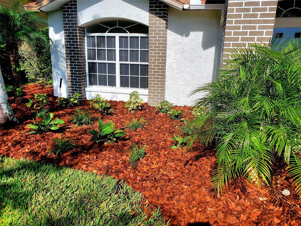 1517 Morning Rose Place Trinity, FL 34655 - Photo 3 of 50 front view of a house