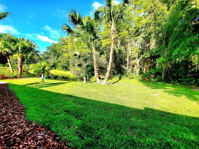 a view of a house with a garden