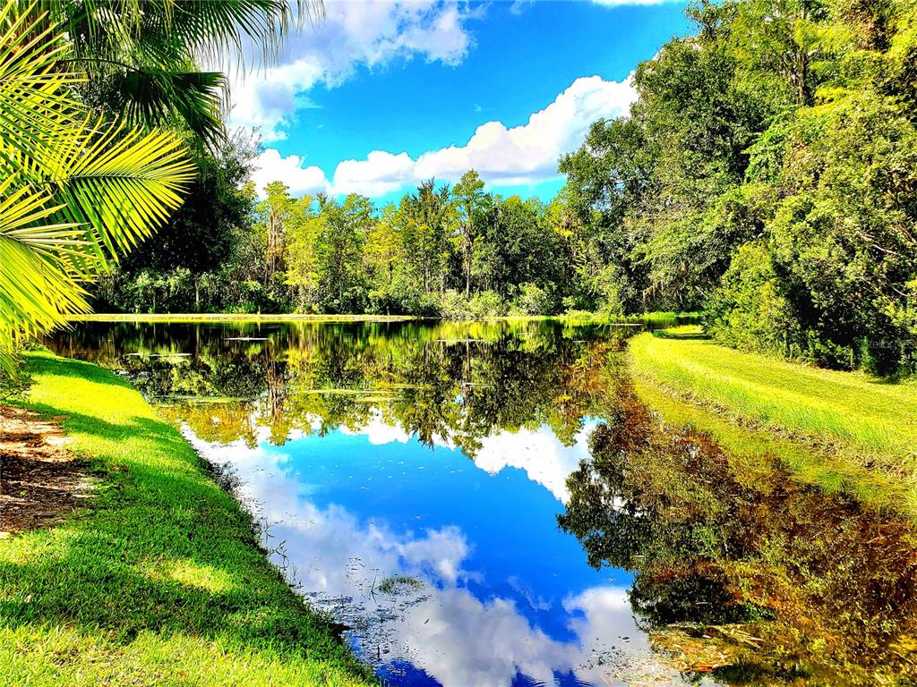 1517 Morning Rose Place Trinity, FL 34655 - Photo 50 of 50 a view of a lake