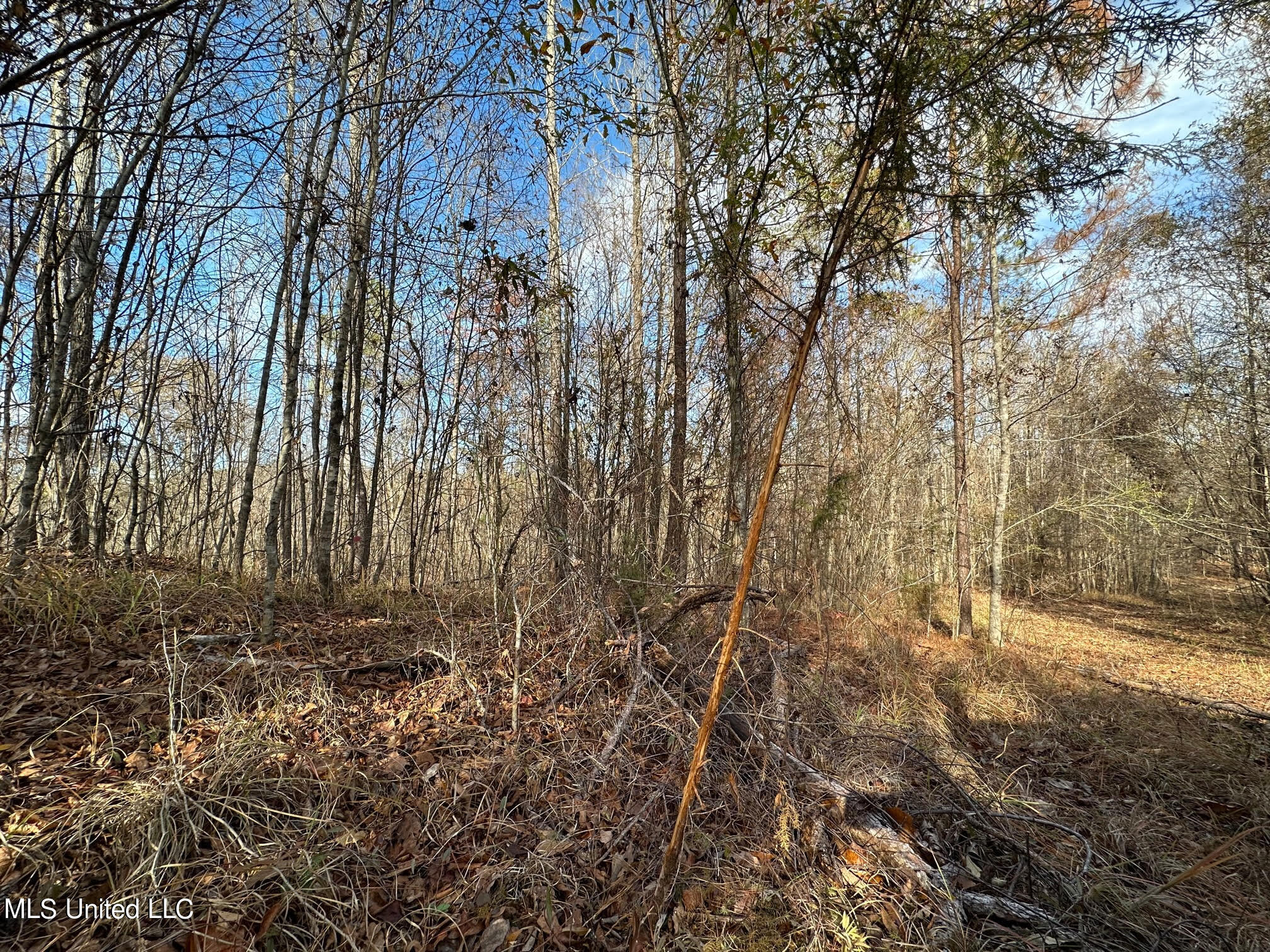 2 Norman Road Hazlehurst, MS 39083 - Photo 8 of 21 12