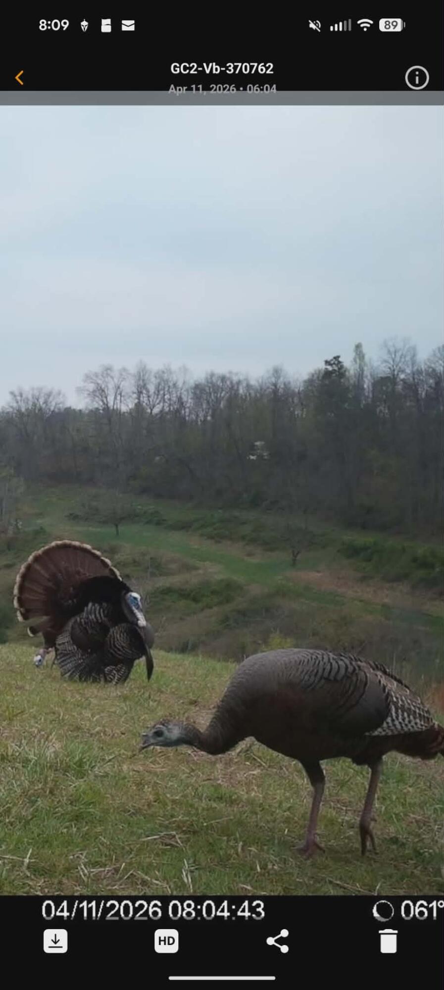 404 Lower Nickell Branch Road Hazel Green, KY 41332 - Photo 70 of 89 att.uqdZ4IIpV-HrhOcYaWmlu8wgYpKr4_8LHXhw
