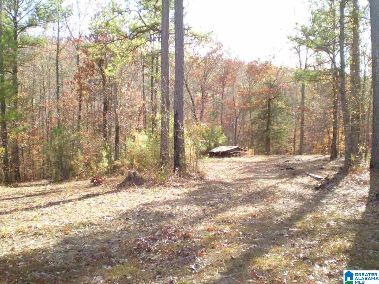 172 Waldrop Road, Unit 9 Ashville, AL 35953 - Photo 22 of 36