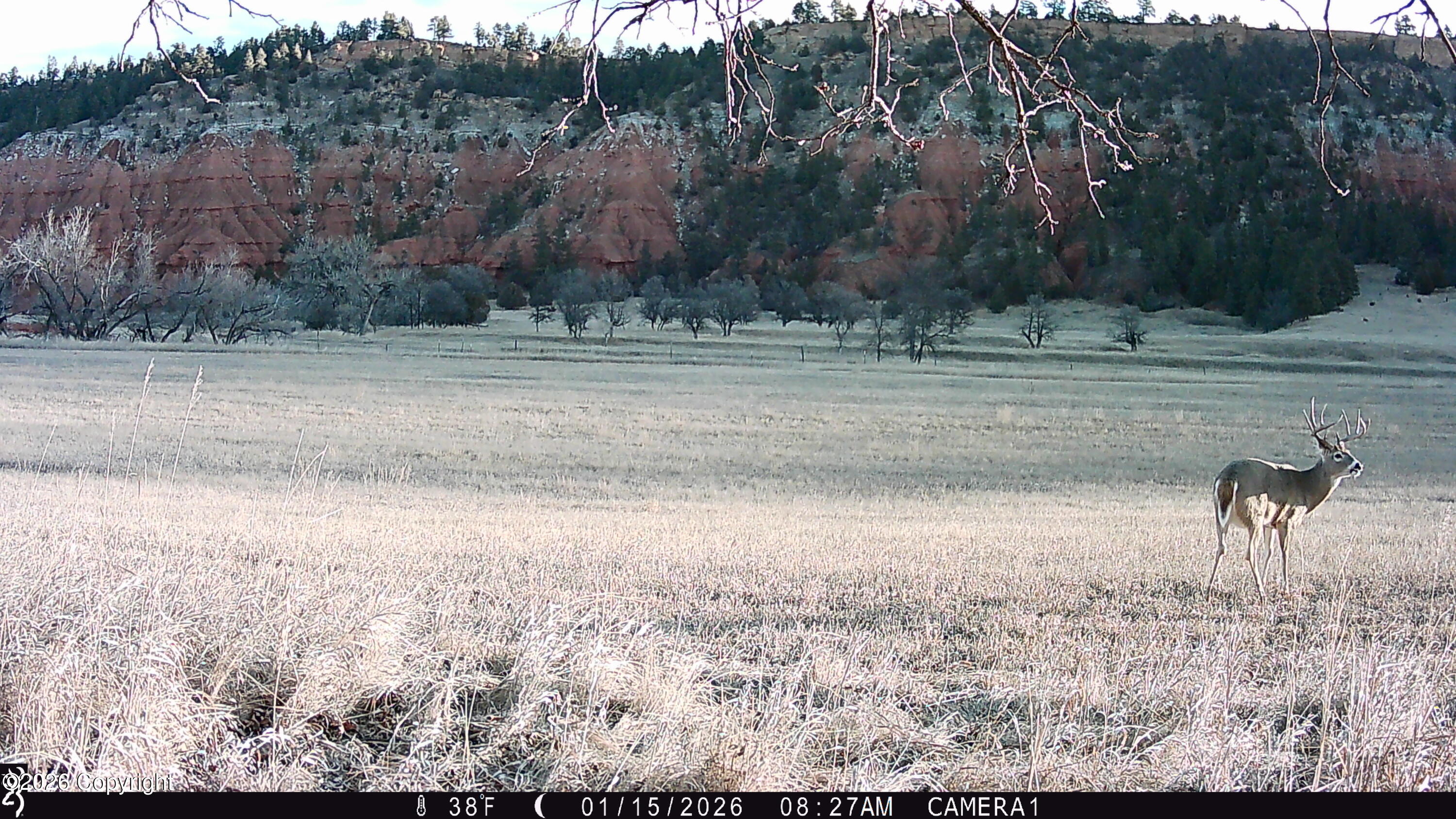1 Belle River Ranch Hulett, WY 82720 - Photo 54 of 58 Gallery Image 54