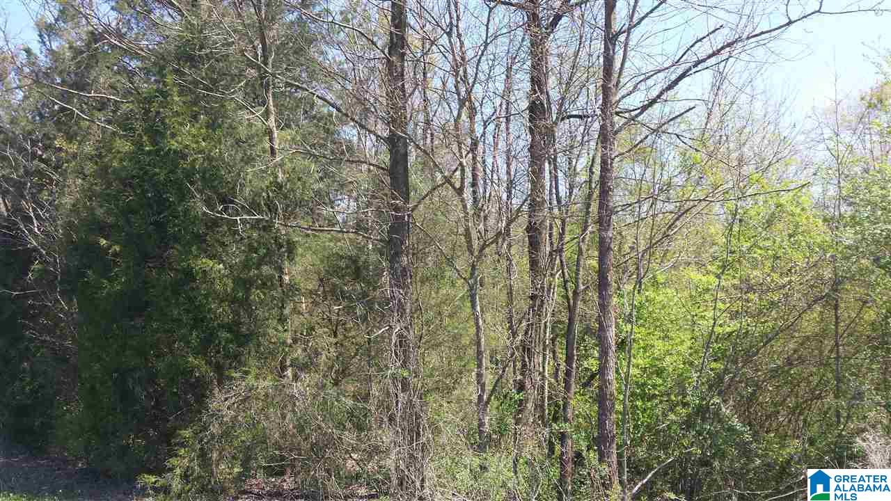 Double Bridge Road, Unit 16 Steele, AL 35987 - Photo 11 of 44
