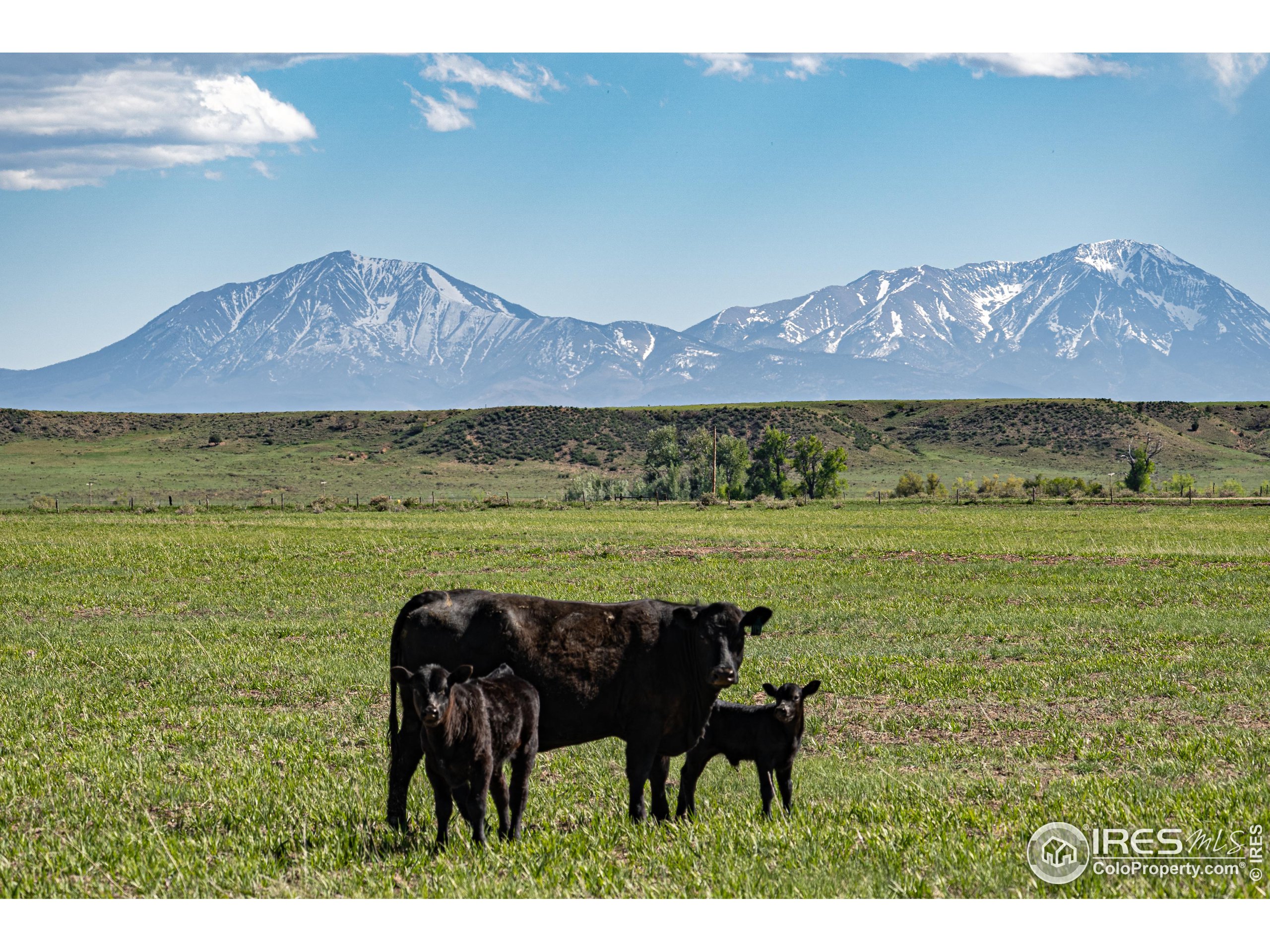 620 County Road 670 Rye, CO 81069 - Photo 36 of 40