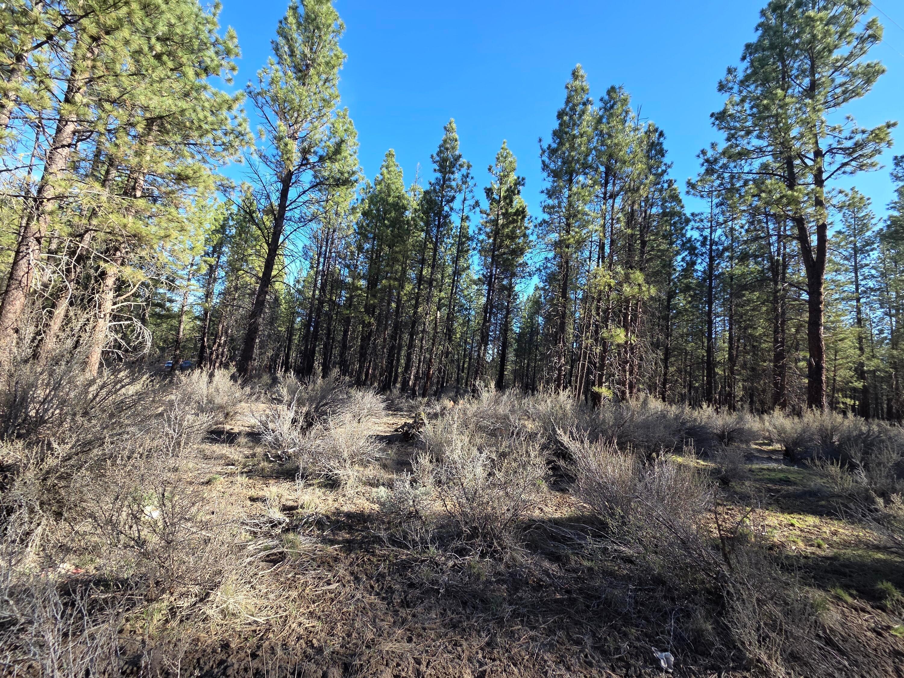 0 Grey Wolf Lane, Unit LOT 7 Chiloquin, OR 97624 - Photo 5 of 6 Lot