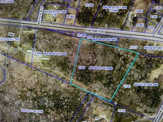 Off Pinckney Road Chester, SC 29706 - Photo 1 of 1