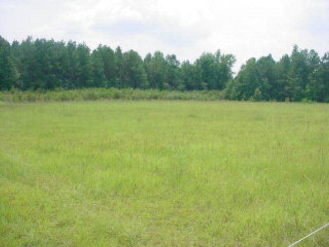 0 Stamey Livestock Road Sumter, SC 29150 - Photo 1 of 1 Gallery Image 1