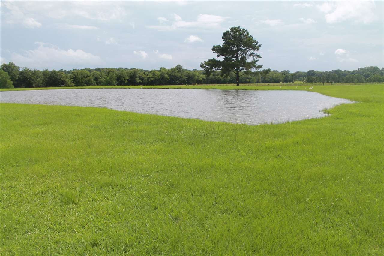 369 Hart Road Canton, MS 39046 - Photo 22 of 26 Photo 22