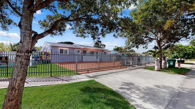 a view of a park with a large trees