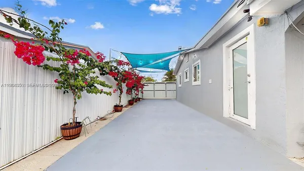 a view of a backyard with a tree