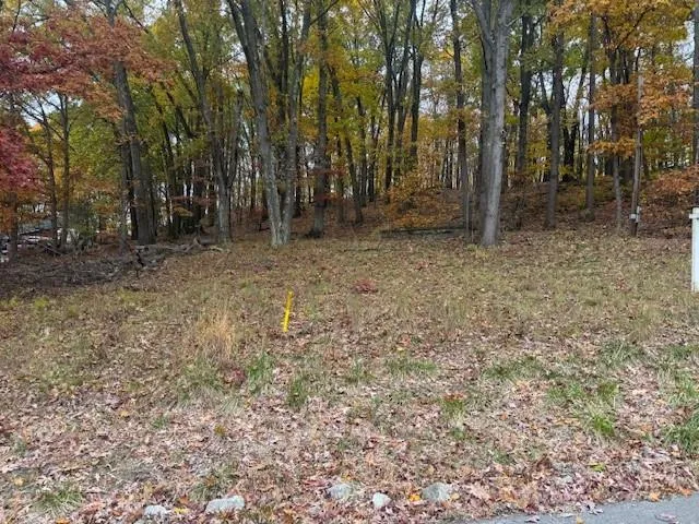 a view of outdoor space with trees