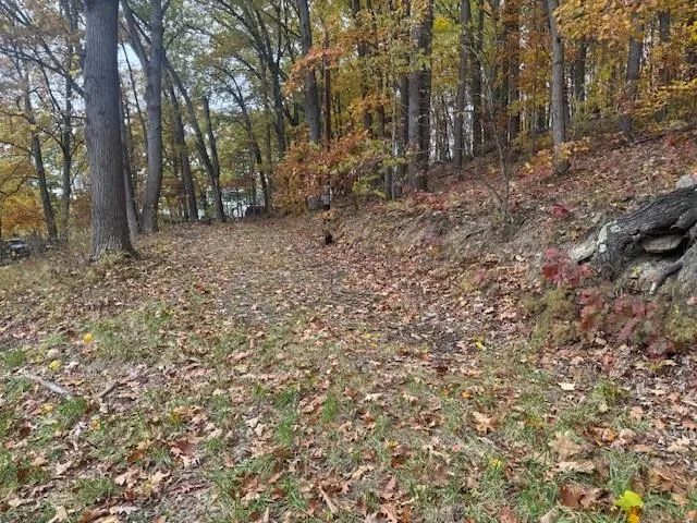a view of open space with trees
