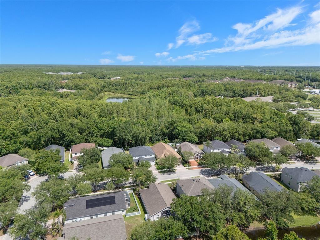 16230 Nottingham Road Tampa, FL 33647 - Photo 53 of 58 Gallery Image 53