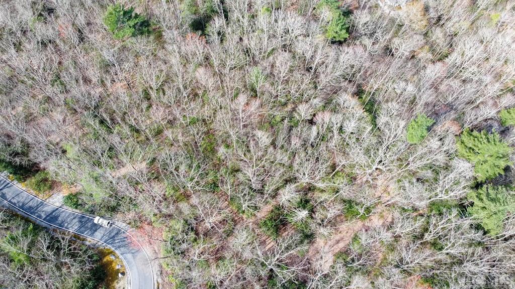 7 Tower Road Sapphire, NC 28774 - Photo 13 of 28 Gallery Image 13