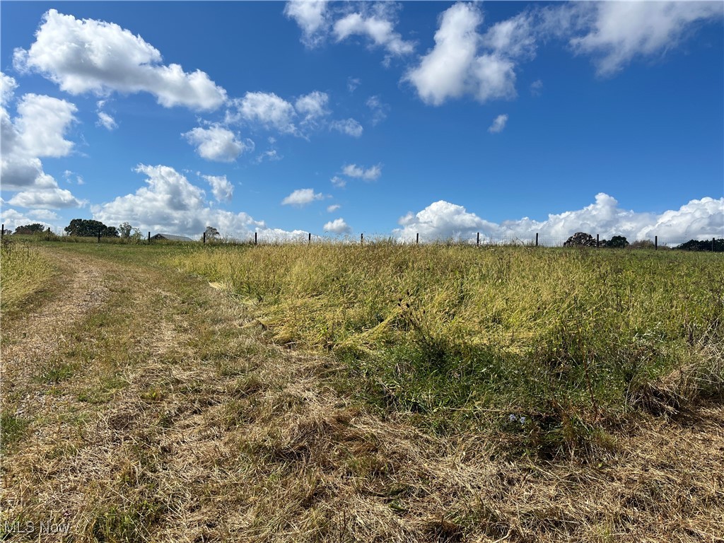 71330 Old Twenty One Road Kimbolton, OH 43749 - Photo 15 of 49