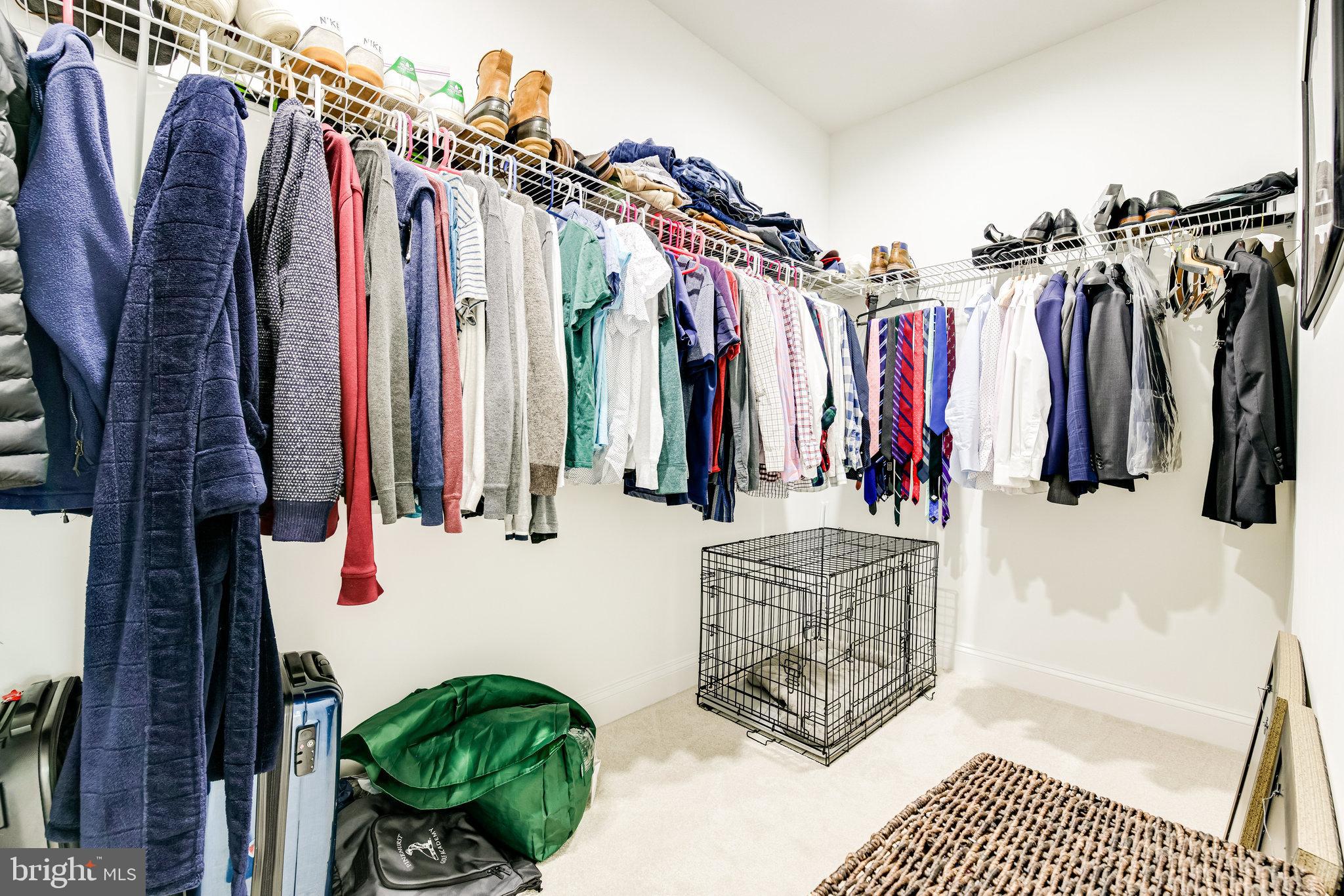 3003 Franklin Street Alexandria, VA 22306 - Photo 25 of 61 2nd Primary Walk-in Closet