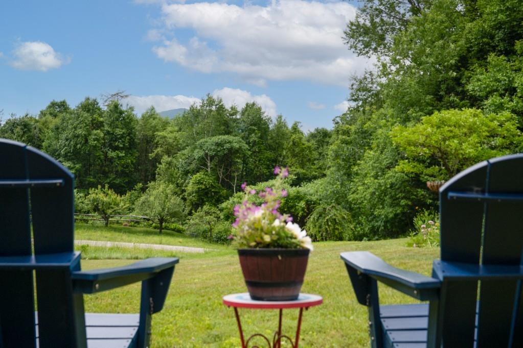 2436 Mad Tom Road Dorset, VT 05253 - Photo 28 of 34