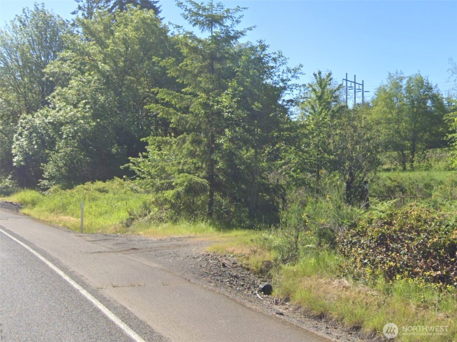 188 South Bank Road Elma, WA 98541 - Photo 19 of 32 a view of a garden with plants